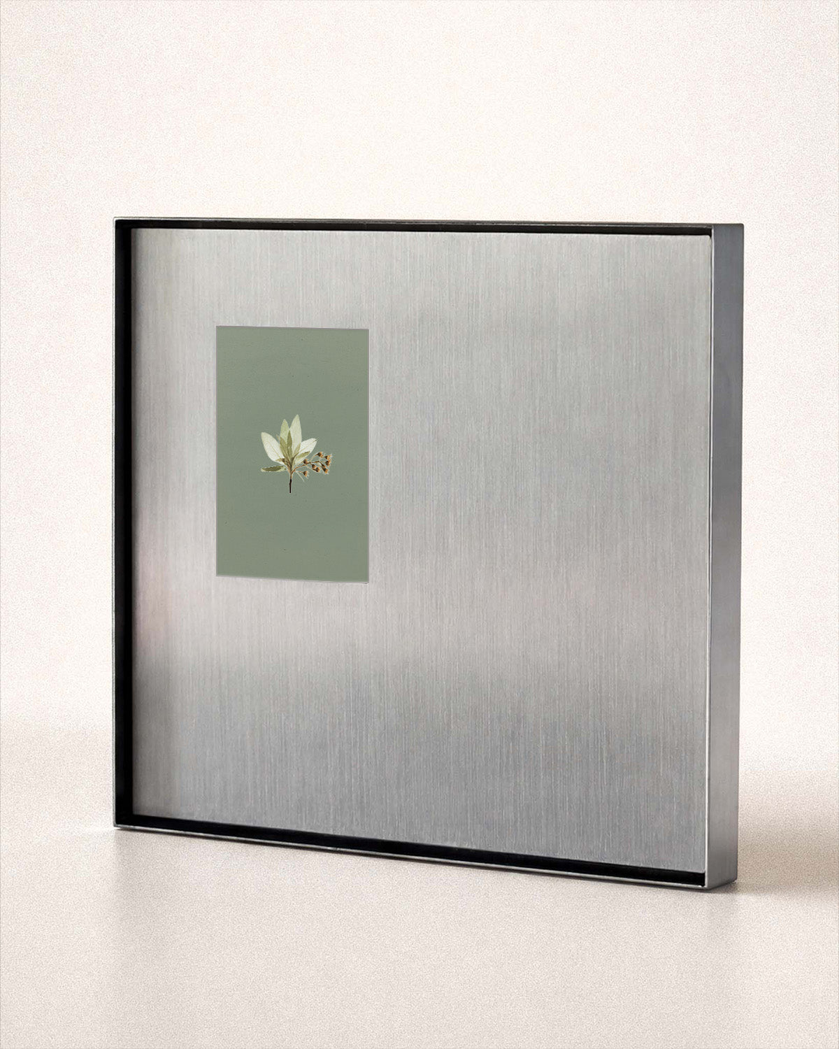 Brushed Steel Gallery Frame
